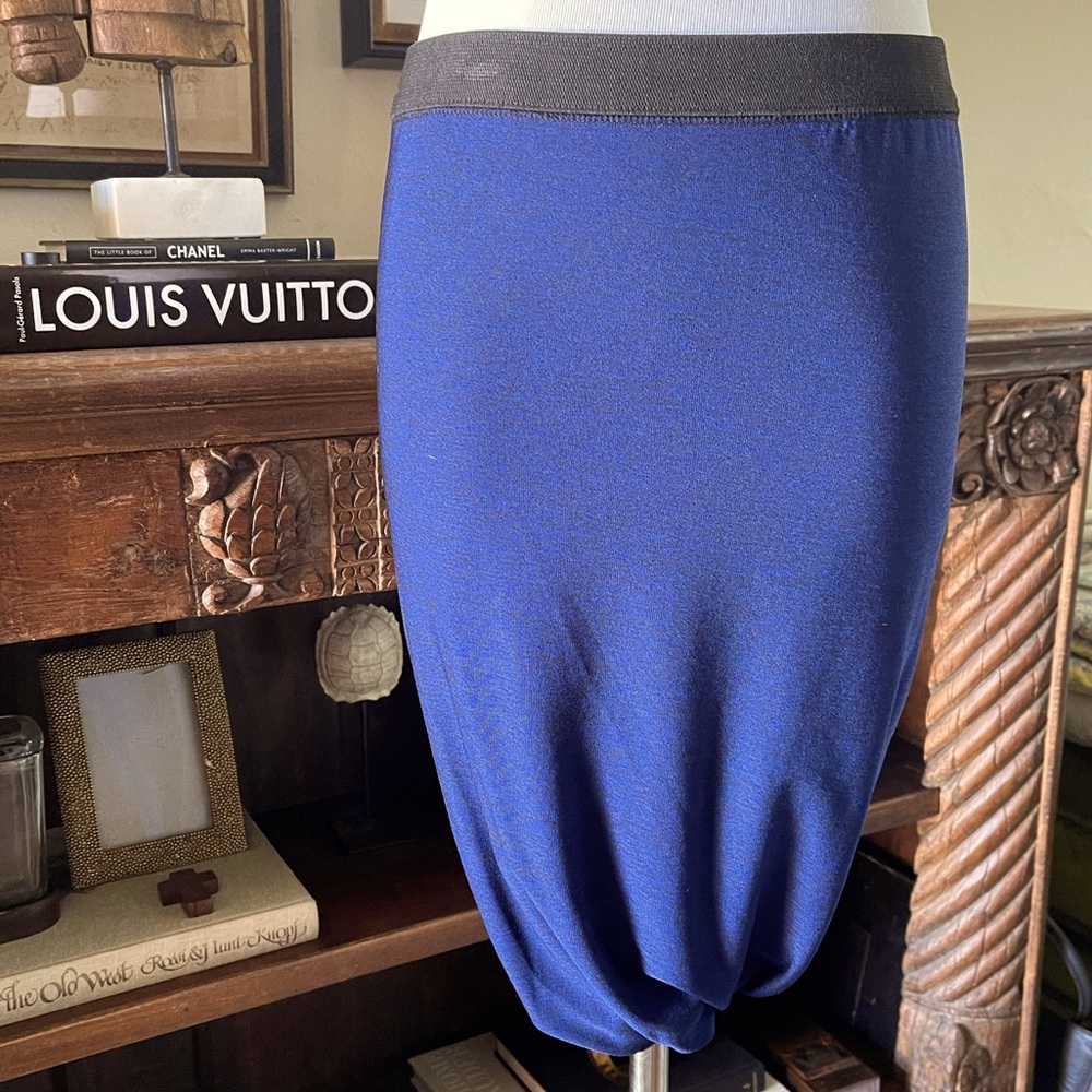 Alexander Wang skirt